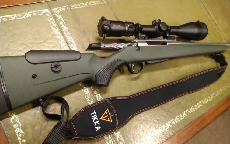 Blue Fox Glade Target Sports - Air Rifle Shop in Chulmleigh